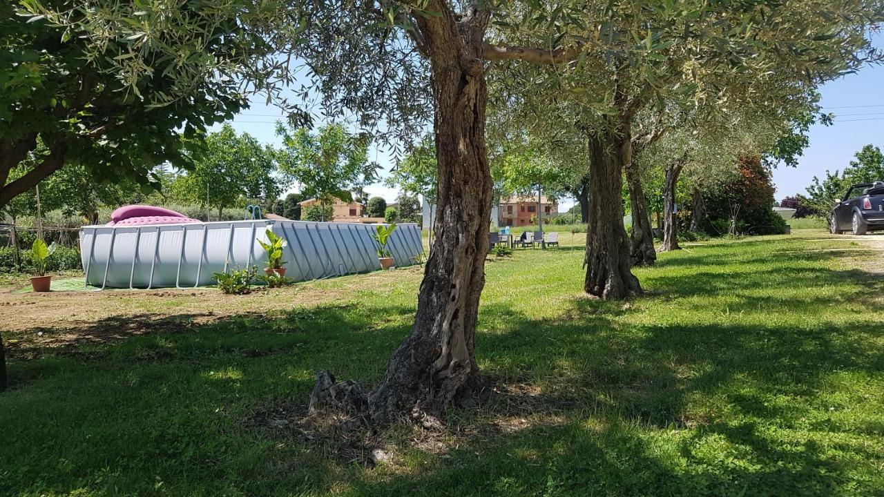 בית הארחה Treia 	"La Grancia" Country House מראה חיצוני תמונה
